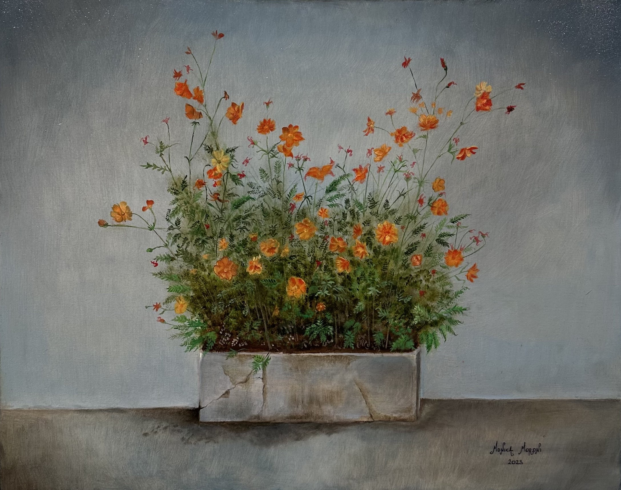 fiori arancio e cemento
