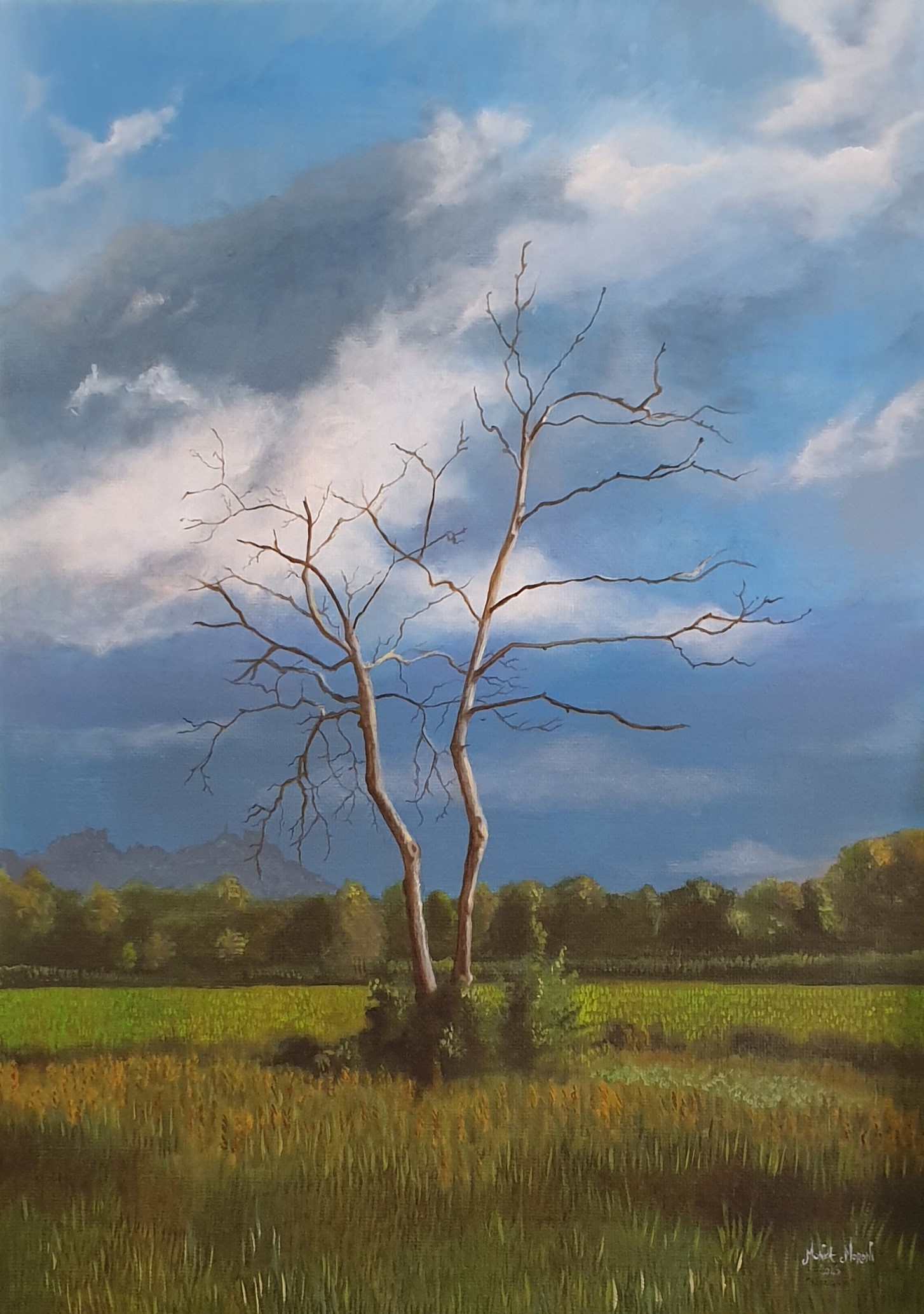 monicamoroni,bifaggio,maggio2023,oliosutelaiuta,50x70